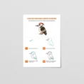 Mockup_worbook Draw with Plush_.4